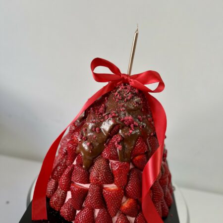 CHRISTMAS COLLECTION- Strawberry Dome Cake (small)